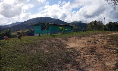 Venta de finca Amalfi vereda Risaralda
