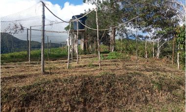 Venta de finca Amalfi vereda Risaralda