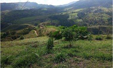 Venta de finca Amalfi vereda Risaralda