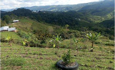 Venta de finca Amalfi vereda Risaralda