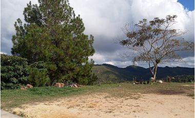 Venta de finca Amalfi vereda Risaralda
