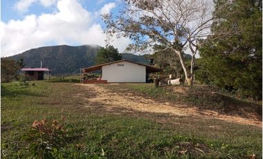Venta de finca Amalfi vereda Risaralda