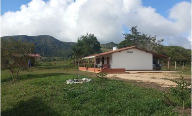 Venta de finca Amalfi vereda Risaralda