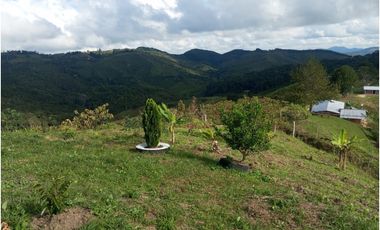 Venta de finca Amalfi vereda Risaralda