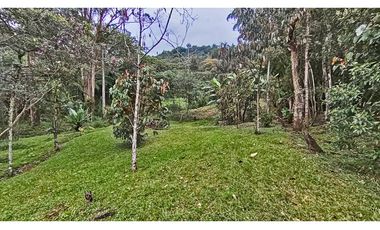 Vendo hermoso lote semi plano indep., El Tablazo Vereda La Oculta