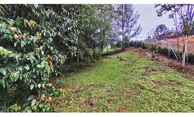 Vendo hermoso lote semi plano indep., El Tablazo Vereda La Oculta