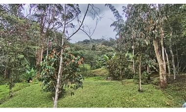 Vendo hermoso lote semi plano indep., El Tablazo Vereda La Oculta