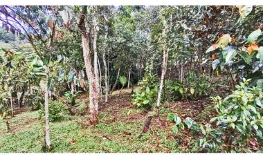 Vendo hermoso lote semi plano indep., El Tablazo Vereda La Oculta