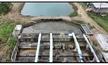 Camaronera  – 375 ha – Muisne, Esmeraldas