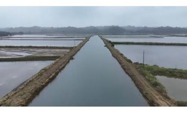 Camaronera  – 375 ha – Muisne, Esmeraldas