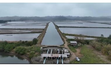 Camaronera  – 375 ha – Muisne, Esmeraldas