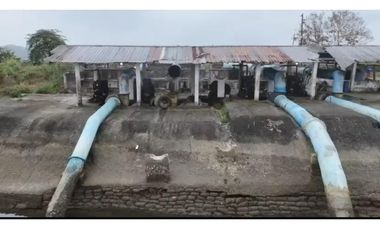 Camaronera  – 375 ha – Muisne, Esmeraldas