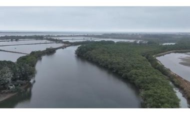 Camaronera  – 375 ha – Muisne, Esmeraldas