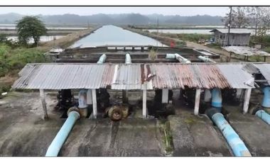 Camaronera  – 375 ha – Muisne, Esmeraldas