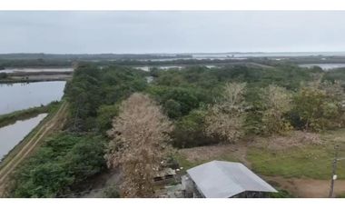 Camaronera  – 375 ha – Muisne, Esmeraldas