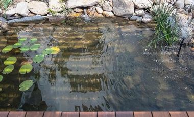 Departamento - Fraccionamiento Arroyo El Molino