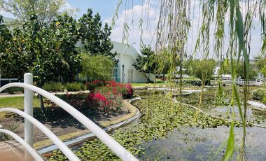Departamento amueblado en renta en Juriquilla Towers, Santa Fe, Juriquilla. GPS