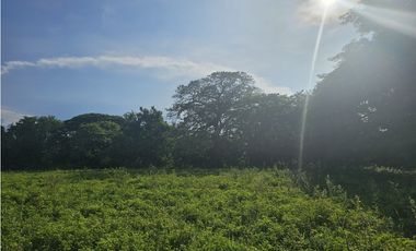 Se Vende Finca de 65 hectáreas en Antón