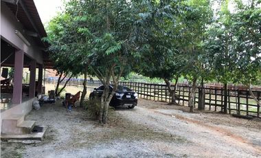 GANGA / COLON / FINCA / BUENA VISTA / 43.5 HECTAREAS / PARA DESARROLLO