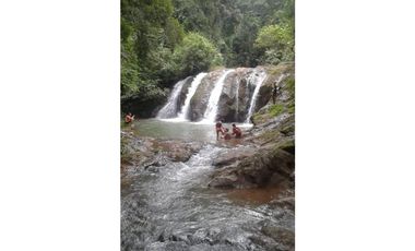 GANGA / COLON / FINCA / BUENA VISTA / 43.5 HECTAREAS / PARA DESARROLLO