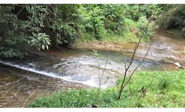 GANGA / COLON / FINCA / BUENA VISTA / 43.5 HECTAREAS / PARA DESARROLLO