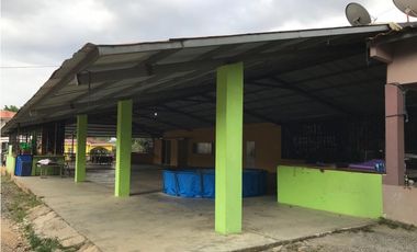 GANGA / COLON / FINCA / BUENA VISTA / 43.5 HECTAREAS / PARA DESARROLLO