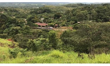 GANGA / COLON / FINCA / BUENA VISTA / 43.5 HECTAREAS / PARA DESARROLLO