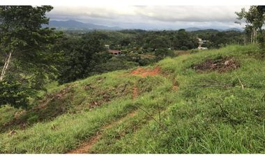 GANGA / COLON / FINCA / BUENA VISTA / 43.5 HECTAREAS / PARA DESARROLLO