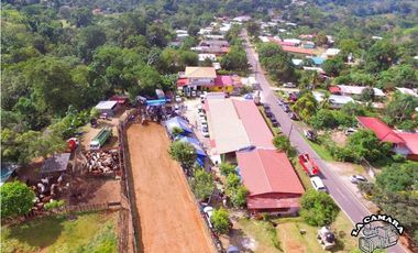 GANGA / COLON / FINCA / BUENA VISTA / 43.5 HECTAREAS / PARA DESARROLLO