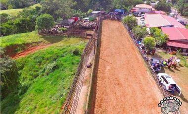 GANGA / COLON / FINCA / BUENA VISTA / 43.5 HECTAREAS / PARA DESARROLLO