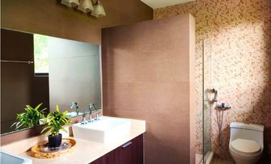 PANAMA PACIFICO / RIVER VALLEY / 288M / 3 HABITACION / 3 PARKING