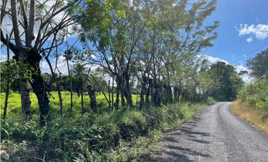VENTA DE TERRENO EN TINAJAS 3.5 HECTAREAS