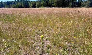 Parcela en venta en PUERTO MONTT
