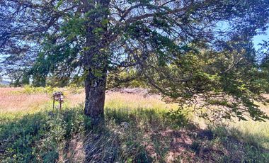 Parcela en venta en PUERTO MONTT