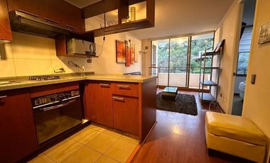 Arriendo departamento amoblado en Caleta Portales