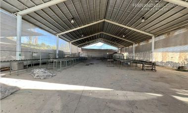 SAN ESTEBAN - ARRIENDO PROPIEDAD COMERCIAL CON GALPON DE 500M2