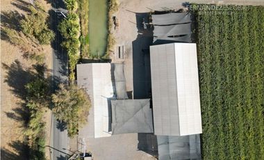 SAN ESTEBAN - ARRIENDO PROPIEDAD COMERCIAL CON GALPON DE 500M2