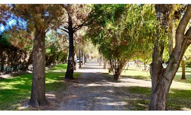 SAN ESTEBAN - VENDE PROPIEDAD CON SALÓN DE EVENTOS Y CASA DE HUESPEDES