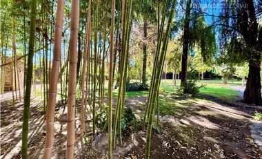 SAN ESTEBAN - VENDE PROPIEDAD CON SALÓN DE EVENTOS Y CASA DE HUESPEDES