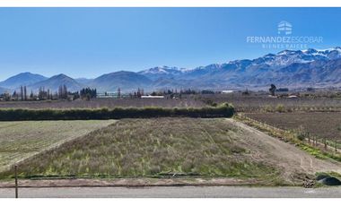 SAN ESTEBAN - VENDE TERRENO DE 5.000m2 - CALLEJÓN SAN BELISARIO