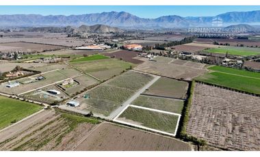 SAN ESTEBAN - VENDE TERRENO DE 5.000m2 - CALLEJÓN SAN BELISARIO