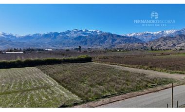 SAN ESTEBAN - VENDE TERRENO DE 5.000m2 - CALLEJÓN SAN BELISARIO