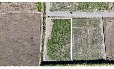 SAN ESTEBAN - VENDE TERRENO DE 5.000m2 - CALLEJÓN SAN BELISARIO