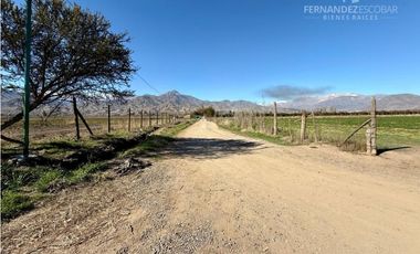 SAN ESTEBAN - VENDE TERRENO DE 5.000m2 - CALLEJÓN SAN BELISARIO