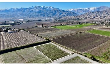 SAN ESTEBAN - VENDE TERRENO DE 5.000m2 - CALLEJÓN SAN BELISARIO