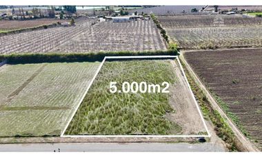 SAN ESTEBAN - VENDE TERRENO DE 5.000m2 - CALLEJÓN SAN BELISARIO