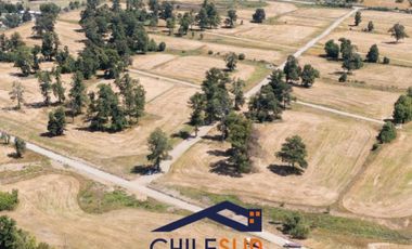 SE VENDEN PARCELAS EN OSORNO, SECTOR PICHIL