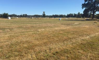 SE VENDEN PARCELAS EN OSORNO, SECTOR PICHIL