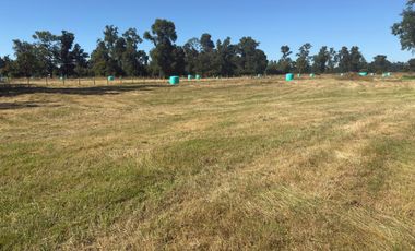 SE VENDEN PARCELAS EN OSORNO, SECTOR PICHIL