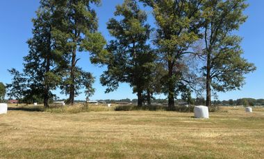 SE VENDEN PARCELAS EN OSORNO, SECTOR PICHIL